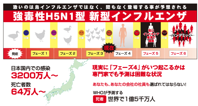 恐いのは鳥インフルエンザではなく間もなく登場する事が予想される「強毒性H5N1型 新型 鳥インフルエンザ」